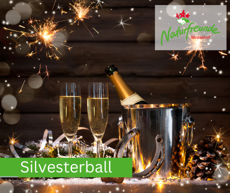 Kartenvorverkauf Silvesterball